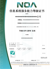 信息系统服务商交付能力-CN